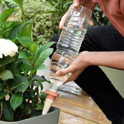 Hozelock Aquasolo Universal Bewässerungskegel, grau, 4 Kegel