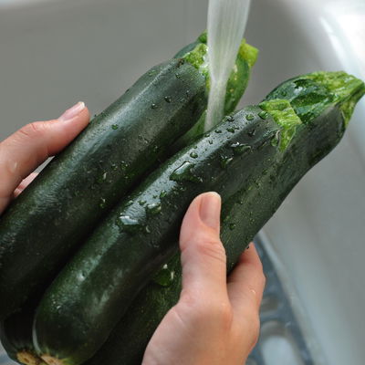 Blu Bio Zucchini 'Balkon-Zucchini', Topf-Ø 12 cm, 3er Set
