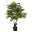 Kunstpflanze Arecapalme, Höhe ca. 110 cm