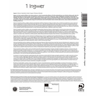 Kiepenkerl Ingwer Kiepenkerl Ingwer