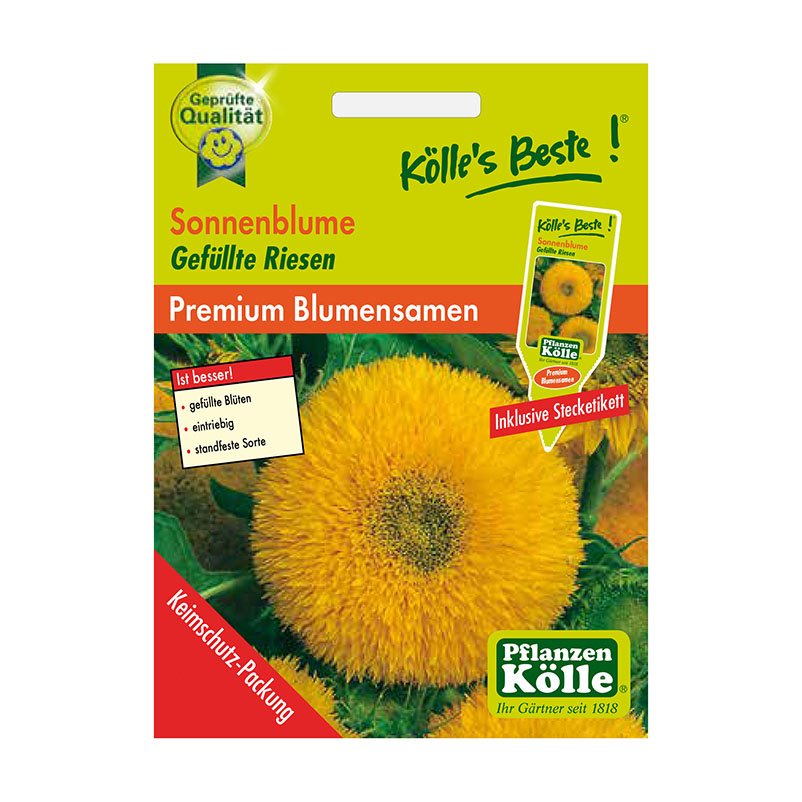 Kölle's Beste Blumensamen Sonnenblumen Gefüllte Riesen (Helianthus)