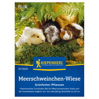 Kiepenkerl Saatgutmischung 'Meerschweinchen-Wiese'