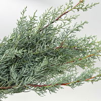 Arizonica-Zypresse 'Glauca' im Handbund, 3 Bund