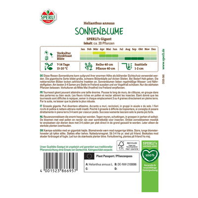 Saatgut Sonnenblume 'Sperli’s Gigant'