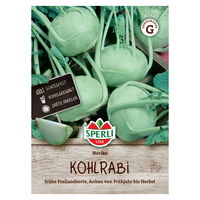 Sperli Kohlrabisamen 'Noriko'