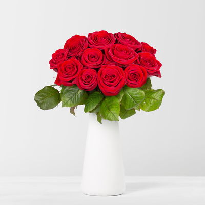 20 rote Rosen 'Red Naomi'