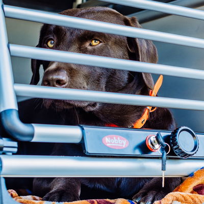 Nobby Auto-Transportbox 'Round Corner' S, Aluminium Nobby Auto-Transportbox 'Round Corner' S, Aluminium