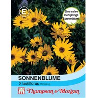 Thompson & Morgan Blumensamen Sonnenblume Helianthus X Laetiflorus