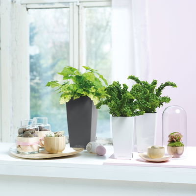 Lechuza 'Mini-Cubi', weiß, ca. 9,5 x 9,5 x H 18,5 cm