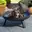 Grillschale mit Feuer Grillschale mit Feuer