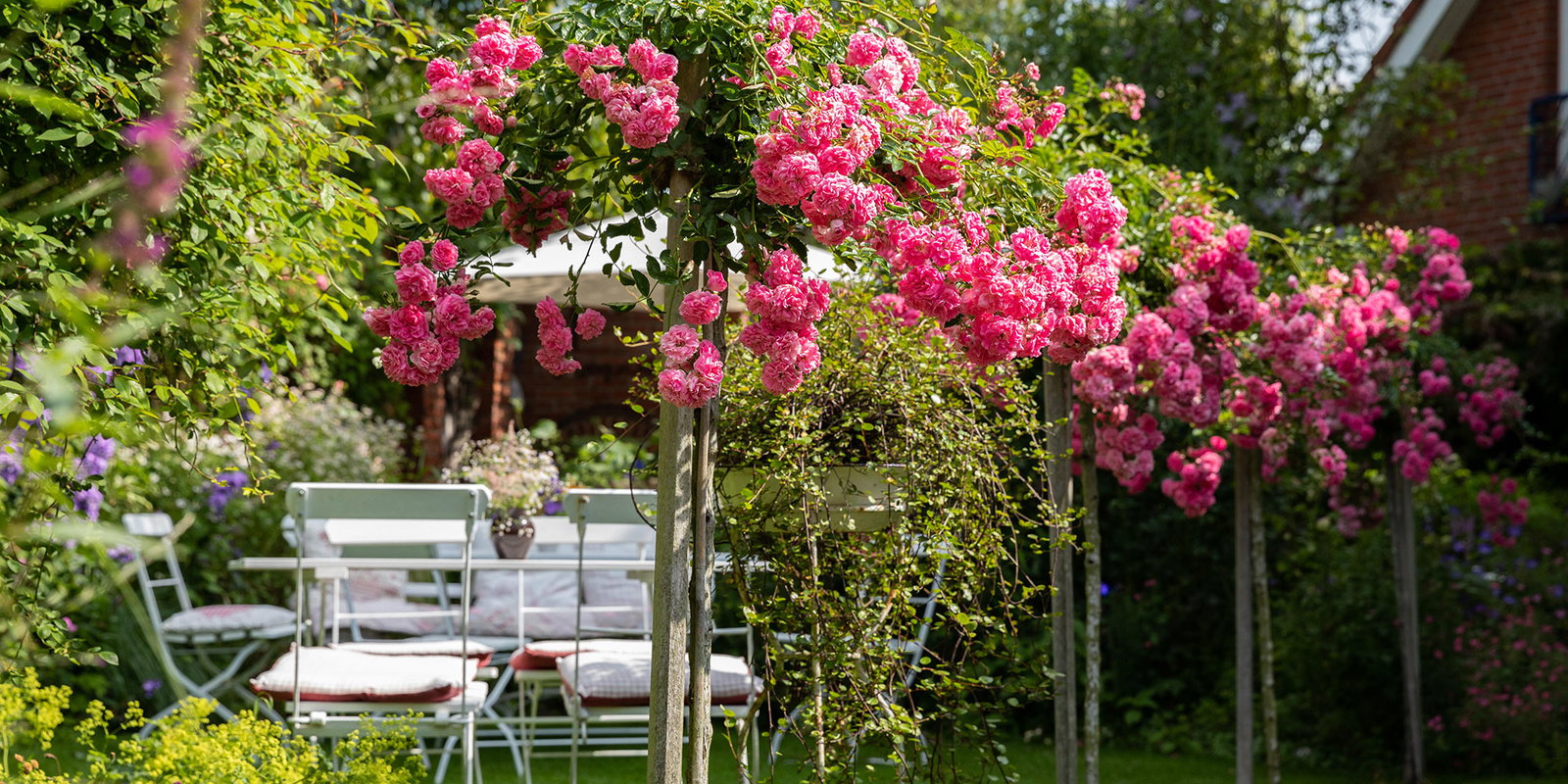 Rosengarten Rosengarten
