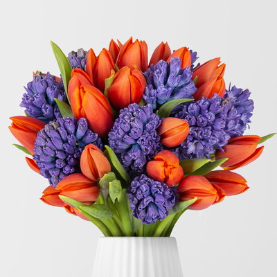 Schnittblumen-Mix aus 20 orangenen Tulpen & 9 blauen Hyazinthen Schnittblumen-Mix aus 20 orangenen Tulpen & 9 blauen Hyazinthen