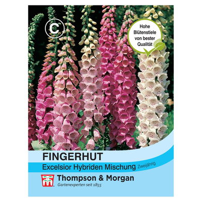 Fingerhut Excelsior Hybrids Mischung
