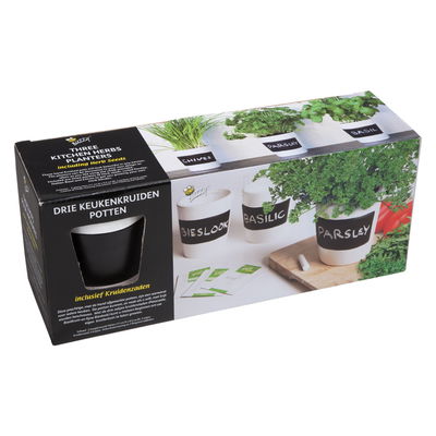 Buzzy Küchenkräuter-Pflanzset Buzzy Küchenkräuter-Pflanzset