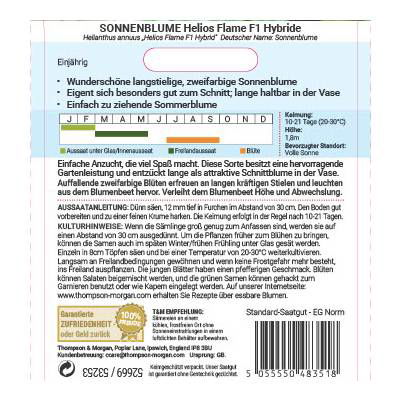 Sonnenblume Helios Flame F1 Hybride