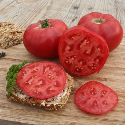 Blu Bio Salat-Tomatenpflanze 'Rose Crush F1', Topf-Ø 12 cm, 6er-Set