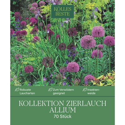 Zierlauch-Kollektion 70 Alliumzwiebeln Zierlauch-Kollektion 70 Alliumzwiebeln