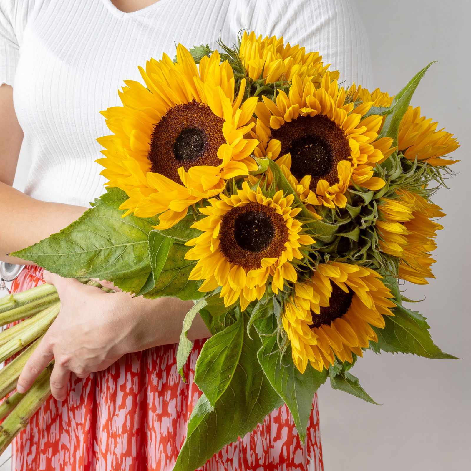 10 Sonnenblumen