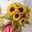 10 Sonnenblumen