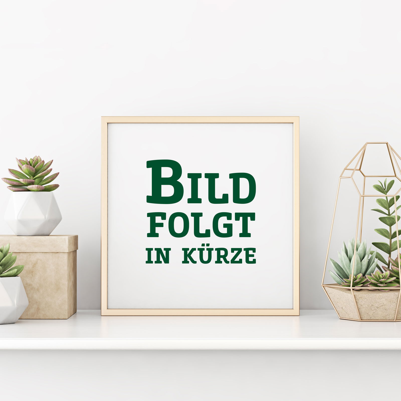 Sommer-/Herbsthimbeeren, 4er-Set, Höhe 35 cm, Topf 2 Liter