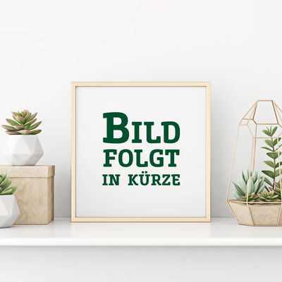 Sommer-/Herbsthimbeeren, 4er-Set, Höhe 35 cm, Topf 2 Liter