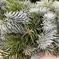 Adventskranz, Mixgrün, halbrund gebunden, ca. 30 cm Ø Adventskranz, Mixgrün, halbrund gebunden, ca. 30 cm Ø