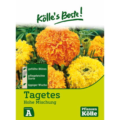 Kölles Beste Blumensamen Studentenblume Kölles Beste Blumensamen Studentenblume