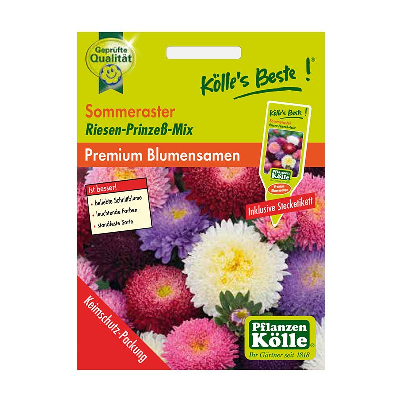 Kölle's Beste Blumensamen Sommeraster (Callistephus) Riesen-Prinzess-Mix