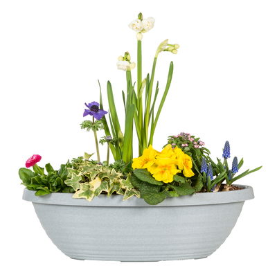 Scheurich Pflanzgefäß Jardiniere 'Country Star', granit, ca. 49 x 18 x H 15 cm Scheurich Pflanzgefäß Jardiniere 'Country Star', granit, ca. 49 x 18 x H 15 cm