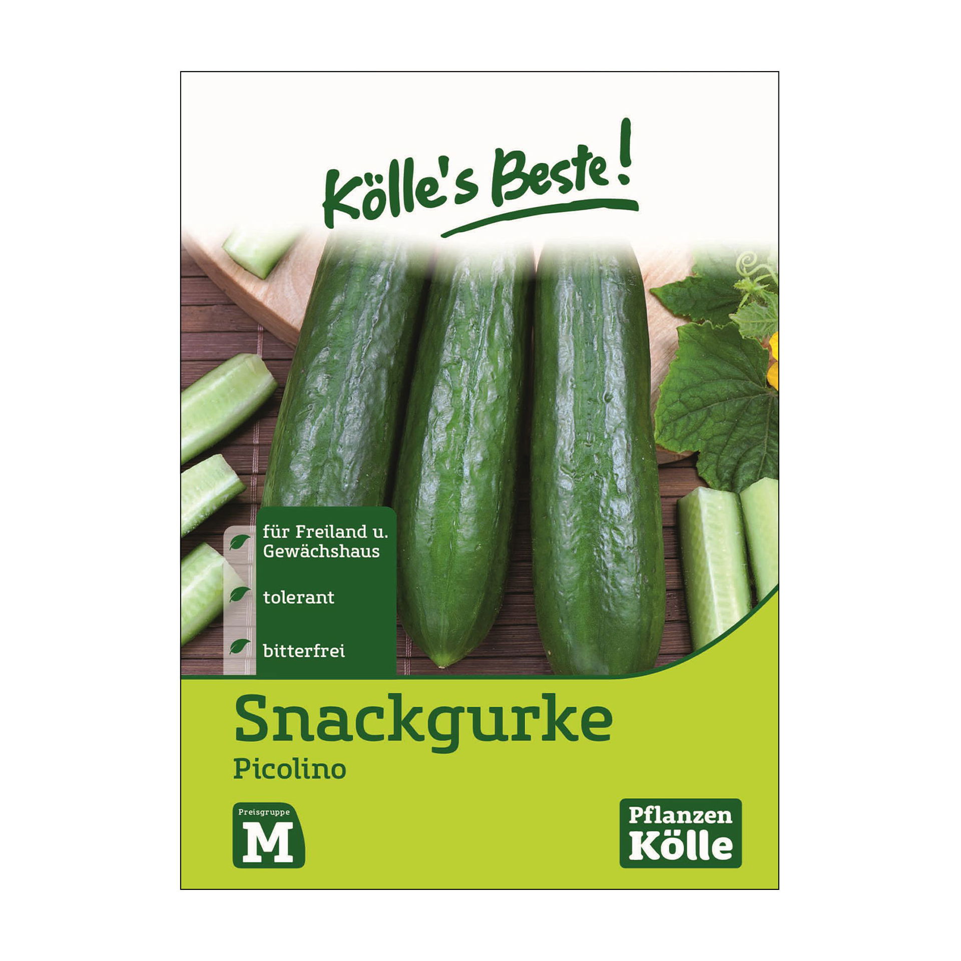 Kölle's Beste Gurke 'Picolino' online kaufen PflanzenKölle