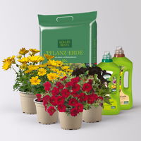 Pflanzenkreation 'WM-Edition', 4 Pflanzen inkl. Erde, Dünger und Wurzelkraft