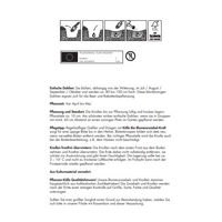 Kölles Beste Blumenknollen Einfache Dahlie 'Sonnenblume'