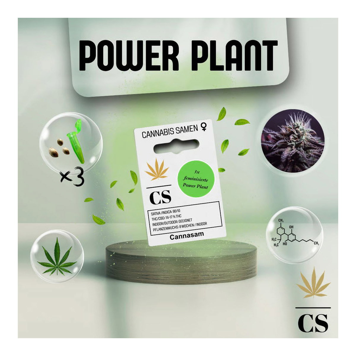 Cannabis Saatgut Hanf 'Power Plant'