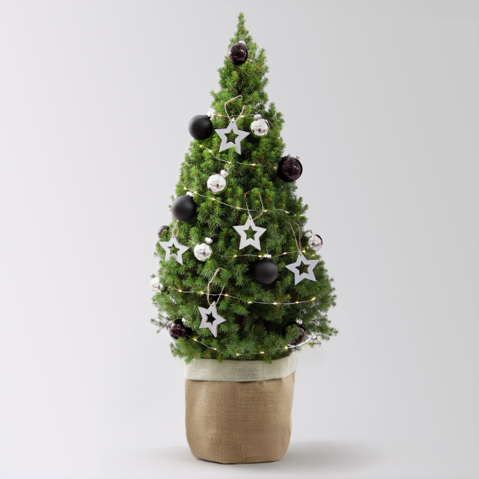Weihnachtsbäumchen inkl. Deko, silber-schwarz, Höhe ca. 80 cm, Topf-Ø 25 cm