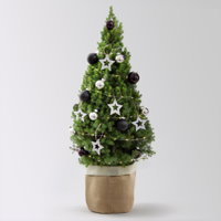 Weihnachtsbäumchen inkl. Deko, silber-schwarz, Höhe ca. 80 cm, Topf-Ø 25 cm Weihnachtsbäumchen inkl. Deko, silber-schwarz, Höhe ca. 80 cm, Topf-Ø 25 cm