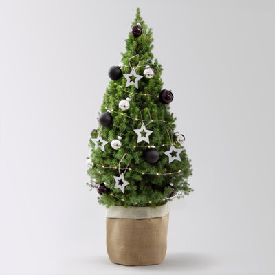 Weihnachtsbäumchen inkl. Deko, silber-schwarz, Höhe ca. 80 cm, Topf-Ø 25 cm Weihnachtsbäumchen inkl. Deko, silber-schwarz, Höhe ca. 80 cm, Topf-Ø 25 cm