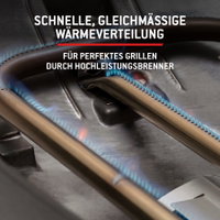 Weber Gasgrill 'Q2200N', schwarz