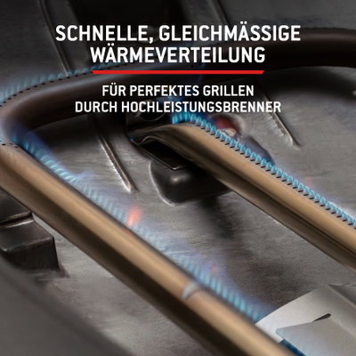 Weber Gasgrill 'Q2200N', schwarz