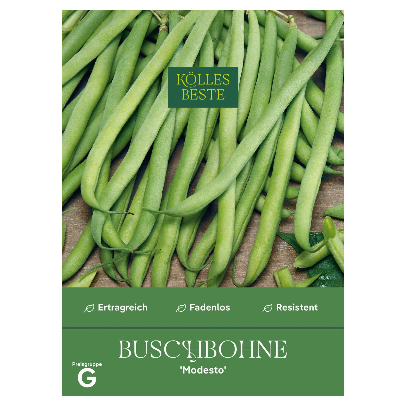 Kölles Beste Saatgut Buschbohne 'Modesto', grün
