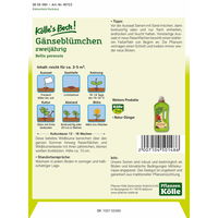 Kölle's Beste Blumensamen Gänseblümchen (Bellis)