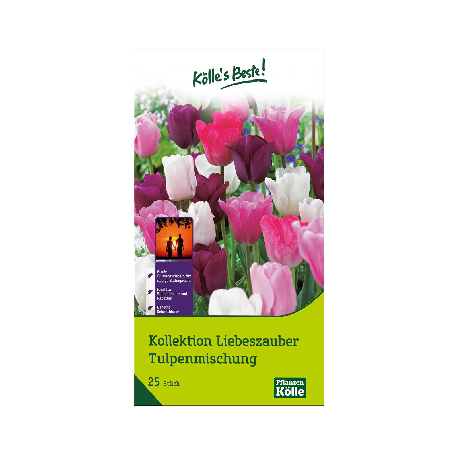 Tulpen-Mischung Liebeszauber, 25 Blumenzwiebeln