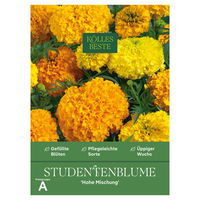 Kölles Beste Blumensamen, Studentenblume 'Hohe Mischung'