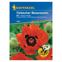 Saatgut Riesenmohn 'Olympiafeuer'