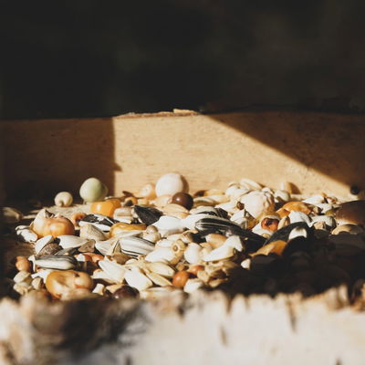 Kölle Vogelfutterhaus inkl. Ständer, ca. 26 x 26 x H24 cm Kölle Vogelfutterhaus inkl. Ständer, ca. 26 x 26 x H24 cm