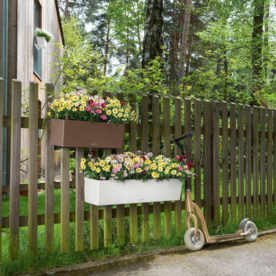 Lechuza 'Balconera Color 50', muskat, ca. 50 x 19 x H 19 cm Lechuza 'Balconera Color 50', muskat, ca. 50 x 19 x H 19 cm