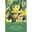 Wildtulpen Dasystemon Tarda weiß mit gelbem Auge, 40 Blumenzwiebeln Wildtulpen Dasystemon Tarda weiß mit gelbem Auge, 40 Blumenzwiebeln
