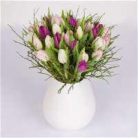 Blumenbund mit 20 Tulpen weiß-rosa-lila und Heidelbeere, inkl. gratis Grußkarte