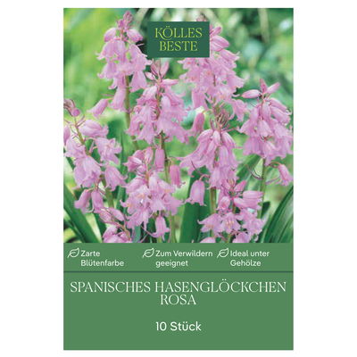 Waldhyazinthen (Hyacinthoides Hispanica) rosa, 10 Blumenzwiebeln