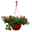 gemischte Sommerblumen-Ampel, rot, Ampeltopf-Ø 25/27 cm