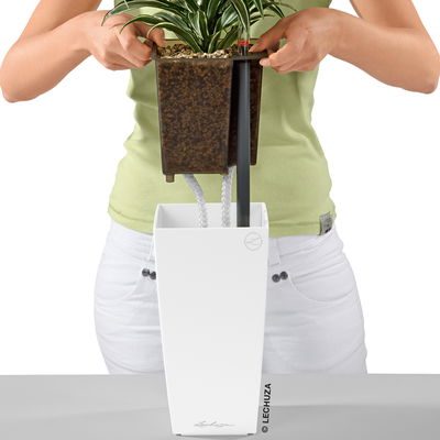 Lechuza 'Maxi-Cubi', scarlet-rot, ca. 14 x 14 x H 26 cm Lechuza 'Maxi-Cubi', scarlet-rot, ca. 14 x 14 x H 26 cm